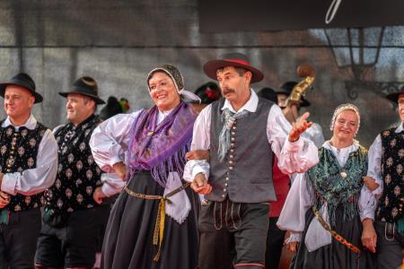 Največji etnološki festival v Sloveniji Dnevi narodnih noš in oblačilne dediščine v Kamniku že enainpetdesetič  (13)